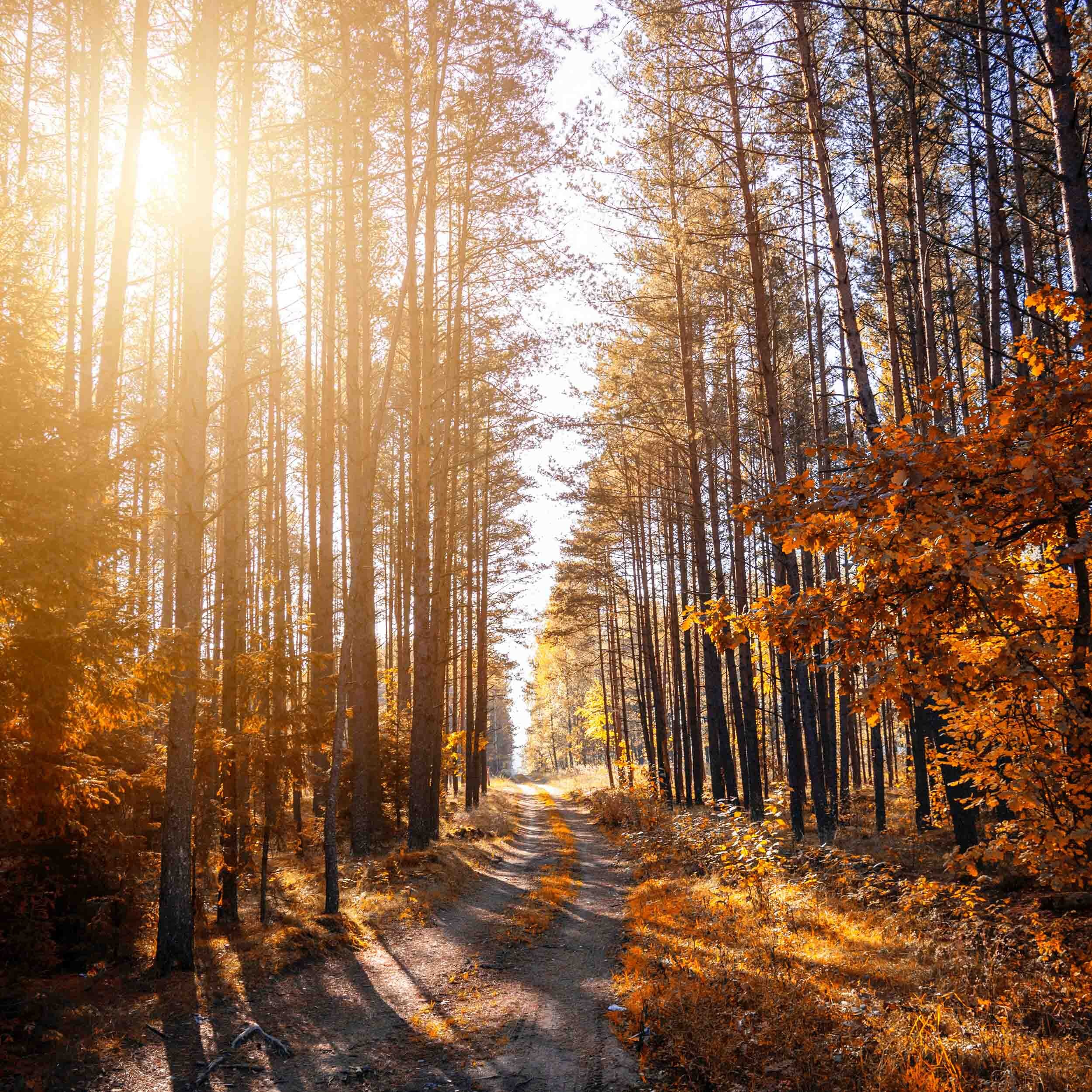 Explore a Conservation Area Near You!