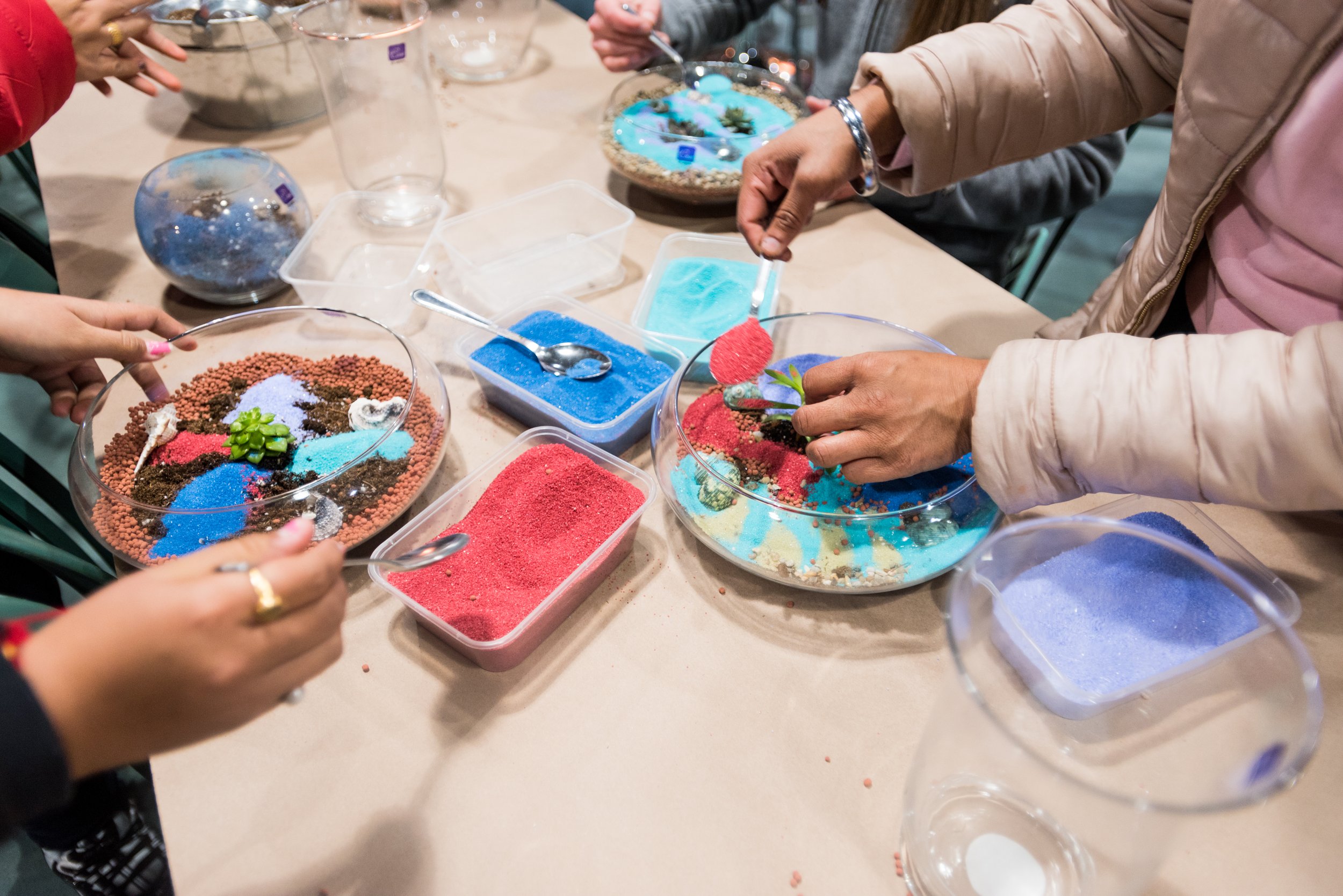DIY Terrariums2.jpg